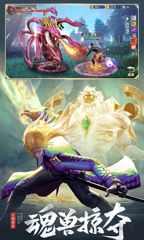 斗罗大陆H5昊天服